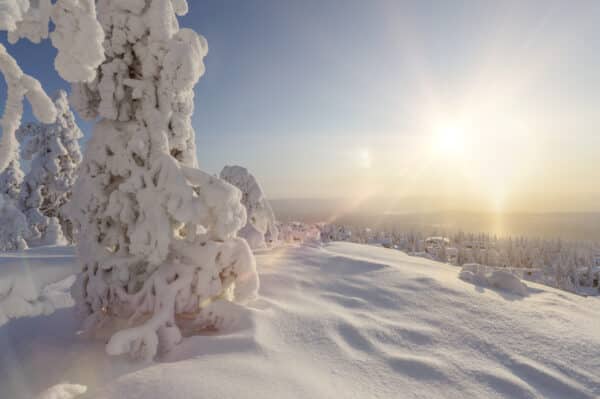 Aktivurlaub Finnland: Finnisches Winterparadies für Langlauffans im Syöte-Nationalpark 31.01.2026 – 07.02.2026 – Bild 22