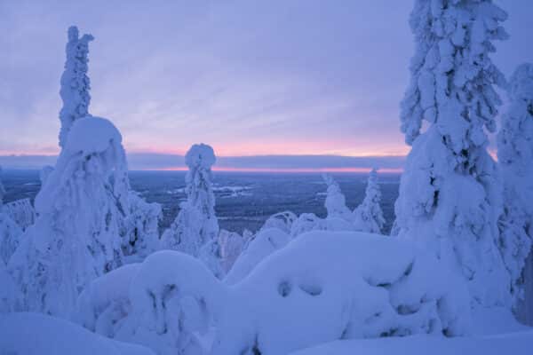 Aktivurlaub Finnland: Finnisches Winterparadies für Langlauffans im Syöte-Nationalpark 31.01.2026 – 07.02.2026 – Bild 14