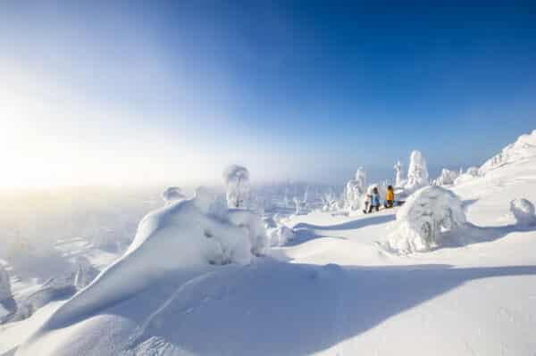 Aktivurlaub Finnland: Finnisches Winterparadies für Langlauffans im Syöte-Nationalpark 31.01.2026 – 07.02.2026 – Bild 16