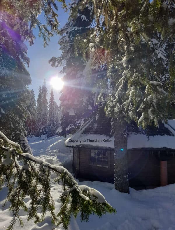Aktivurlaub Finnland: Finnisches Winterparadies für Langlauffans im Syöte-Nationalpark 31.01.2026 – 07.02.2026 – Bild 13