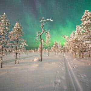 Aktivurlaub Finnland: Finnisches Winterparadies für Langlauffans im Syöte-Nationalpark 31.01.2026 – 07.02.2026