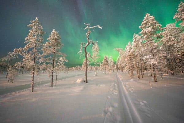 Aktivurlaub Finnland: Finnisches Winterparadies für Langlauffans im Syöte-Nationalpark 31.01.2026 – 07.02.2026